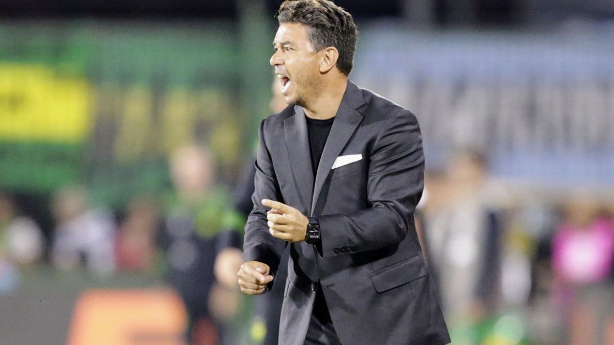 Marcelo Gallardo, el DT de River.