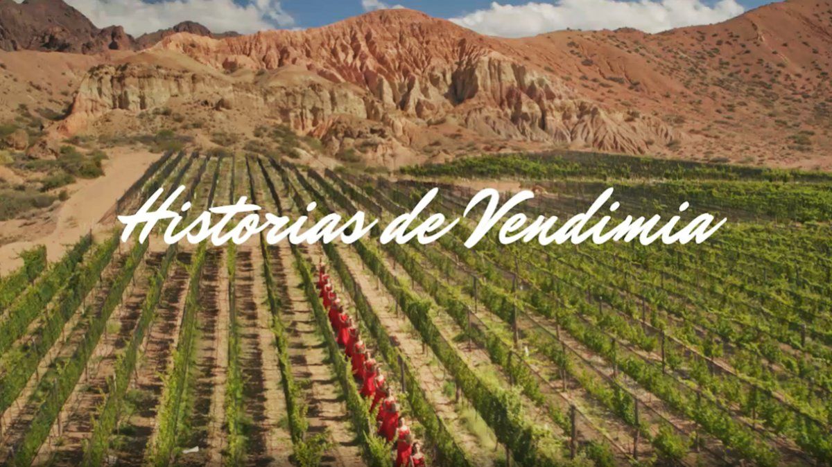 Imagen de la película que forma parte del Especial Vendimia 2021, celebración virtual de la fiesta máxima de los mendocinos, que marca la culminación de la cosecha de la uva.