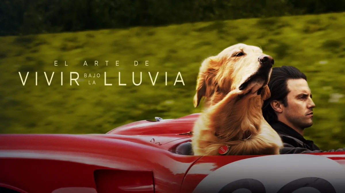 Gran película y la tiene Disney Plus: El arte de vivir bajo la lluvia, es un filme donde a Kevin Costner se lo ve en otra faceta. Gran película y la tiene Disney Plus: El arte de vivir bajo la lluvia, es un filme donde a Kevin Costner se lo ve en otra faceta. 