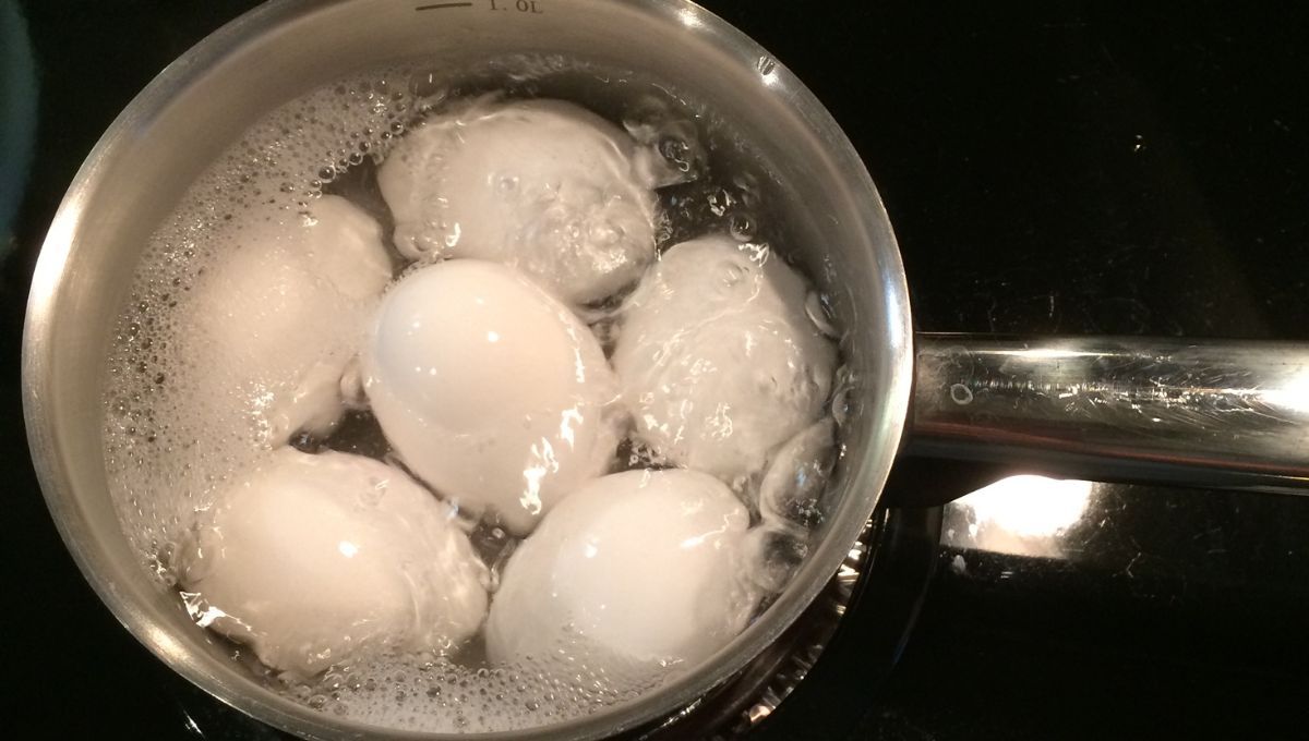 Huevos hervidos. Huevos hervidos.