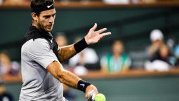 Del Potro sufrió pero se sacó de encima a un difícil Leo Mayer