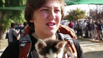 De película: un refugiado llevó a su perro 500 kilómetros