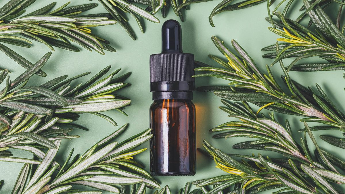 El aceite de romero es conocido por sus propiedades beneficiosas para el crecimiento del cabello. El aceite de romero es conocido por sus propiedades beneficiosas para el crecimiento del cabello.