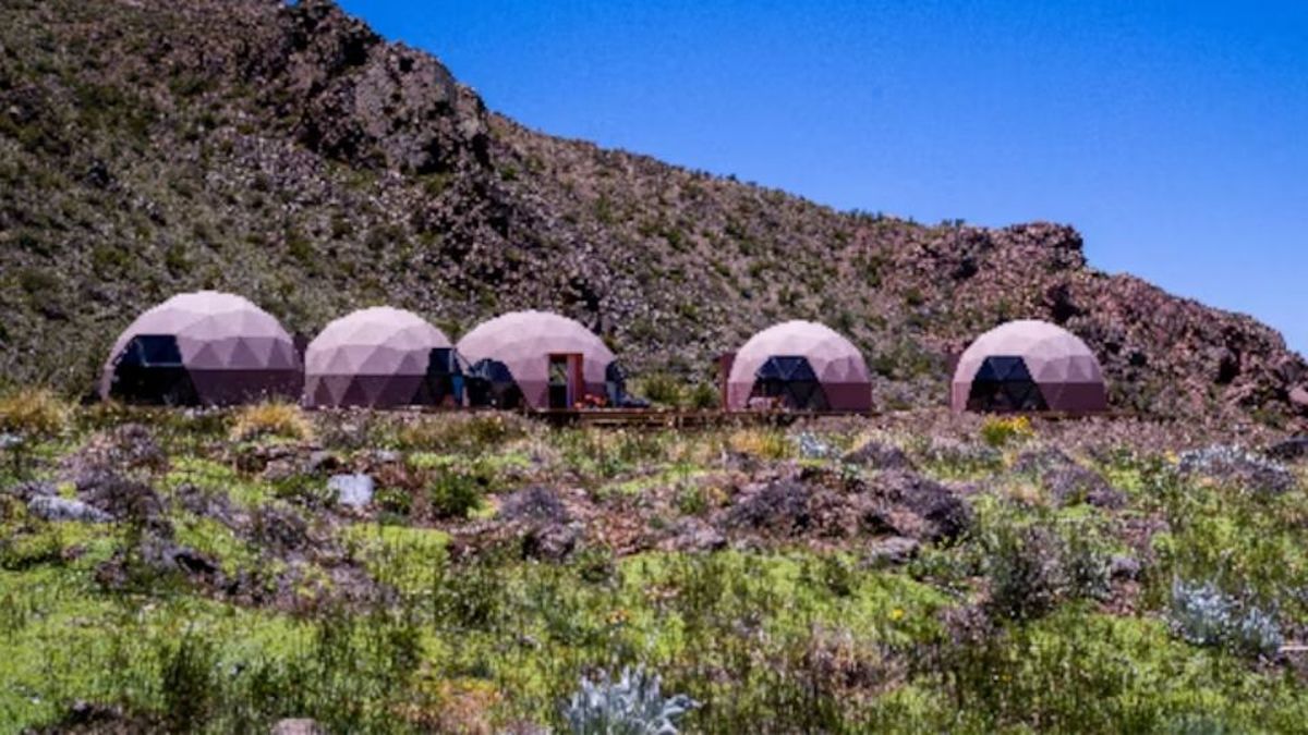 Cada cuatro meses, Wamani levanta un nuevo búnker en Mendoza.