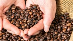 Alimento saludable. Beneficios de tomar café.
