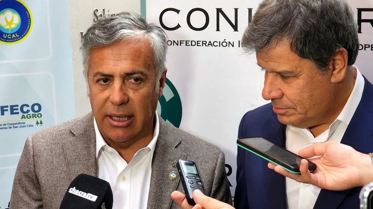 Alfredo Cornejo y Facundo Manes alguna vez tuvieron en sus planes ser candidatos a la Presidencia.