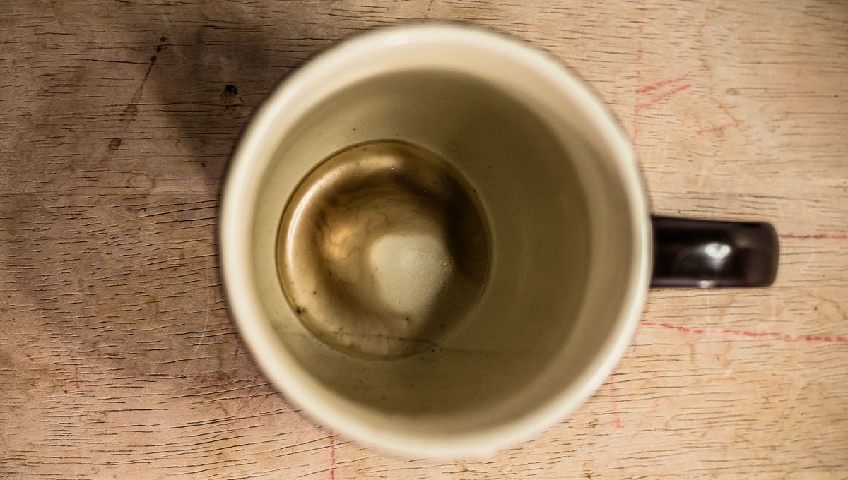 Las bebidas como el té, el café, el mate y el vino, contienen este tipo de componentes que manchan y tiñen. Las bebidas como el té, el café, el mate y el vino, contienen este tipo de componentes que manchan y tiñen. 