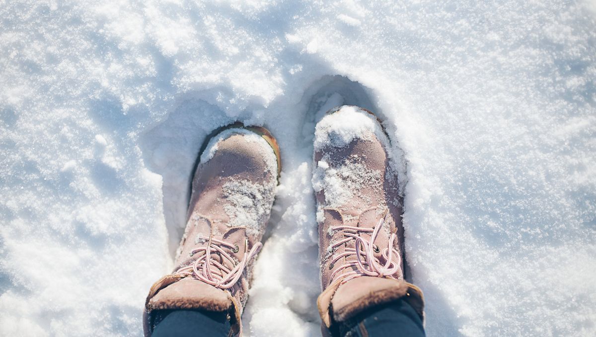 La nieve podría volver a la provincia de Mendoza este domingo. Imagen ilustrativa.