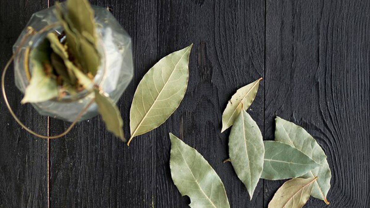 Las hojas de laurel son las protagonistas en distintos tipos de rituales. Las hojas de laurel son las protagonistas en distintos tipos de rituales. 