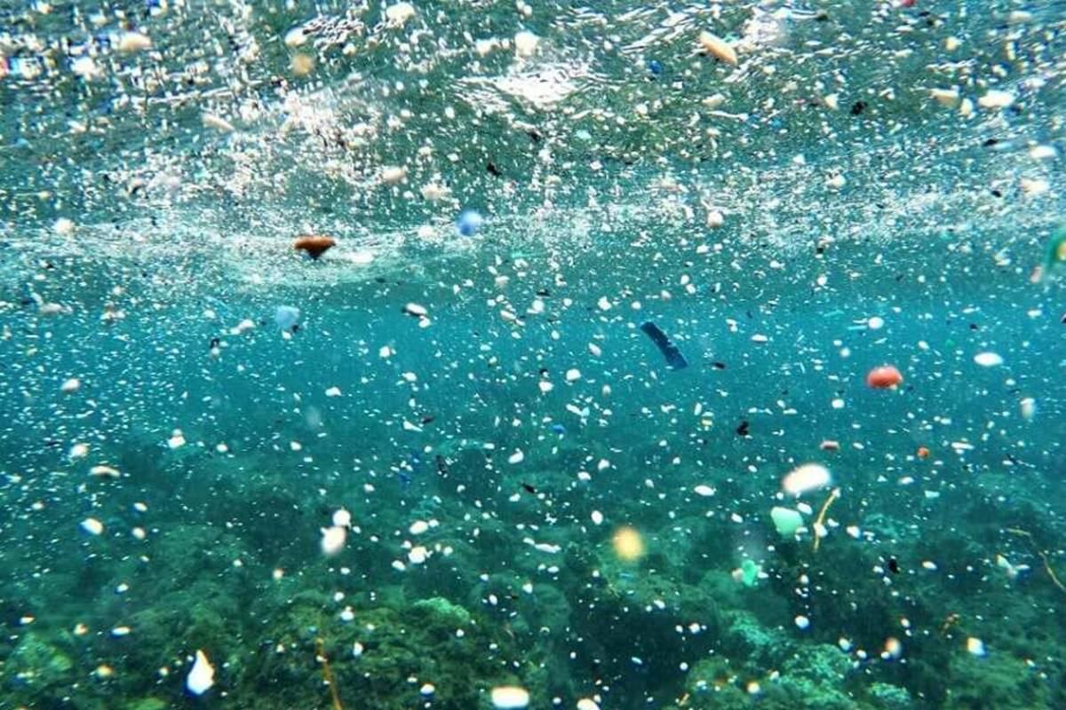 Los microplásticos son casi omnipresentes en la actualidad. Los microplásticos son casi omnipresentes en la actualidad.