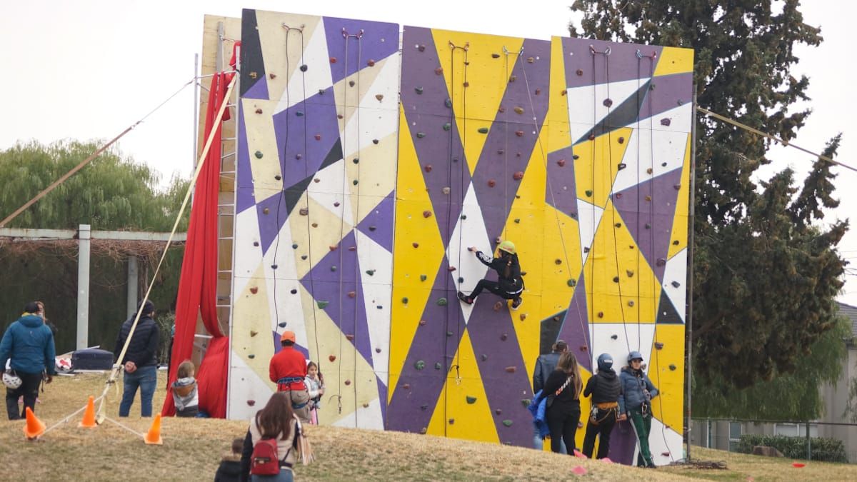 La palestra, uno de los juegos más requeridos por los chicos más grandes La palestra, uno de los juegos más requeridos por los chicos más grandes