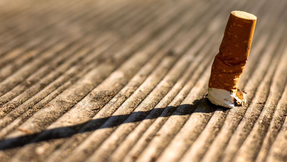 La respuesta del acertijo no es 5, sino el que le sigue. La respuesta del acertijo no es 5, sino el que le sigue.