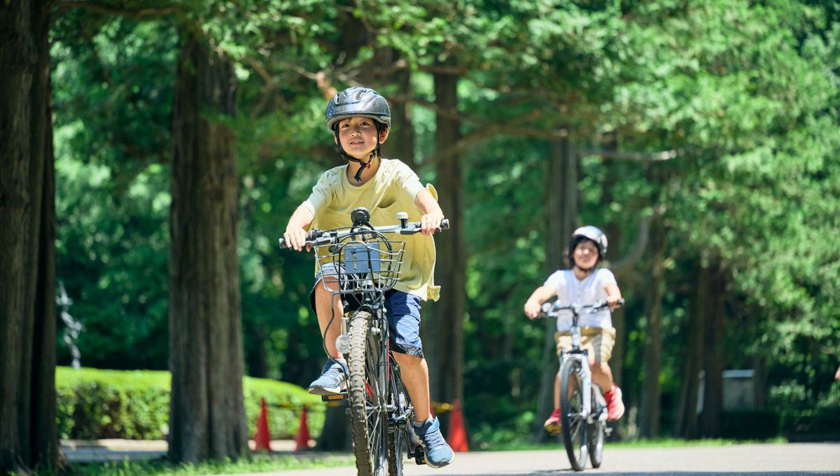 Einstein equipara la vida con el acto de montar en bicicleta. El equilibrio no se logra quedándose quieto, sino moviéndose hacia adelante. Einstein equipara la vida con el acto de montar en bicicleta. El equilibrio no se logra quedándose quieto, sino moviéndose hacia adelante. 