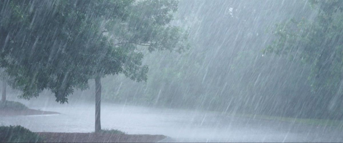 Este día llega la lluvia a la provincia de Mendoza