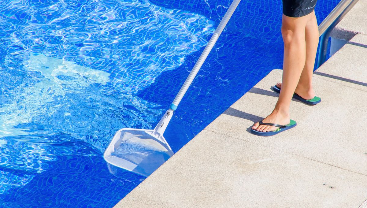 El mantenimiento de tu pileta puede ser realizado con distintos elementos caseros. El mantenimiento de tu pileta puede ser realizado con distintos elementos caseros.