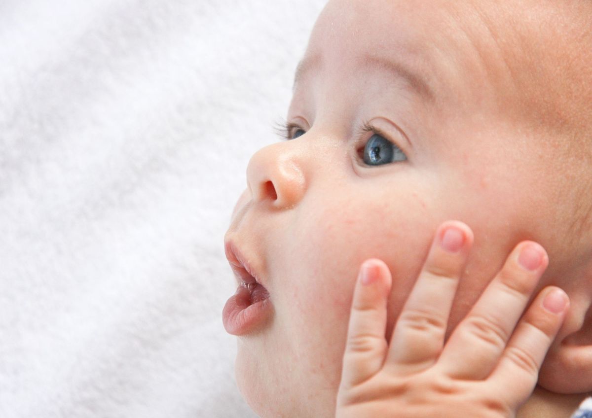 El cerebro de los bebés retiene información desde los primeros meses&nbsp;