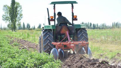 Jóvenes de Lavalle cultivan tomate y zapallo para costear sus estudios 