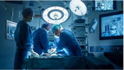 Trasplante multiorgánico de un cerdo a un ser humano. China logró un gran avance.