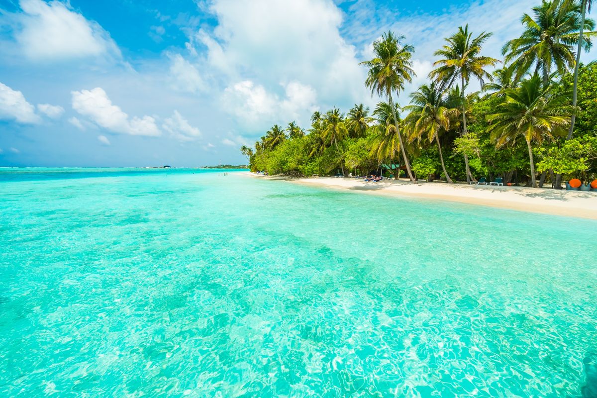 Planifica el viaje de tus sueños al Caribe. Imagen: Freepik.