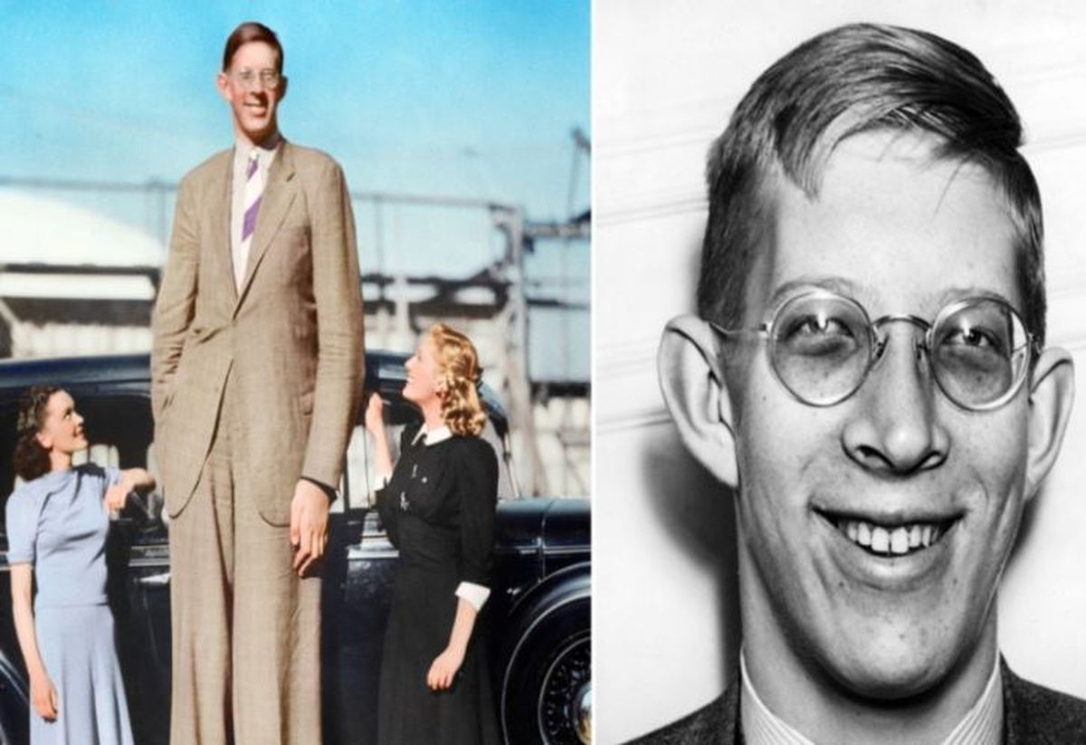 Robert Wadlow