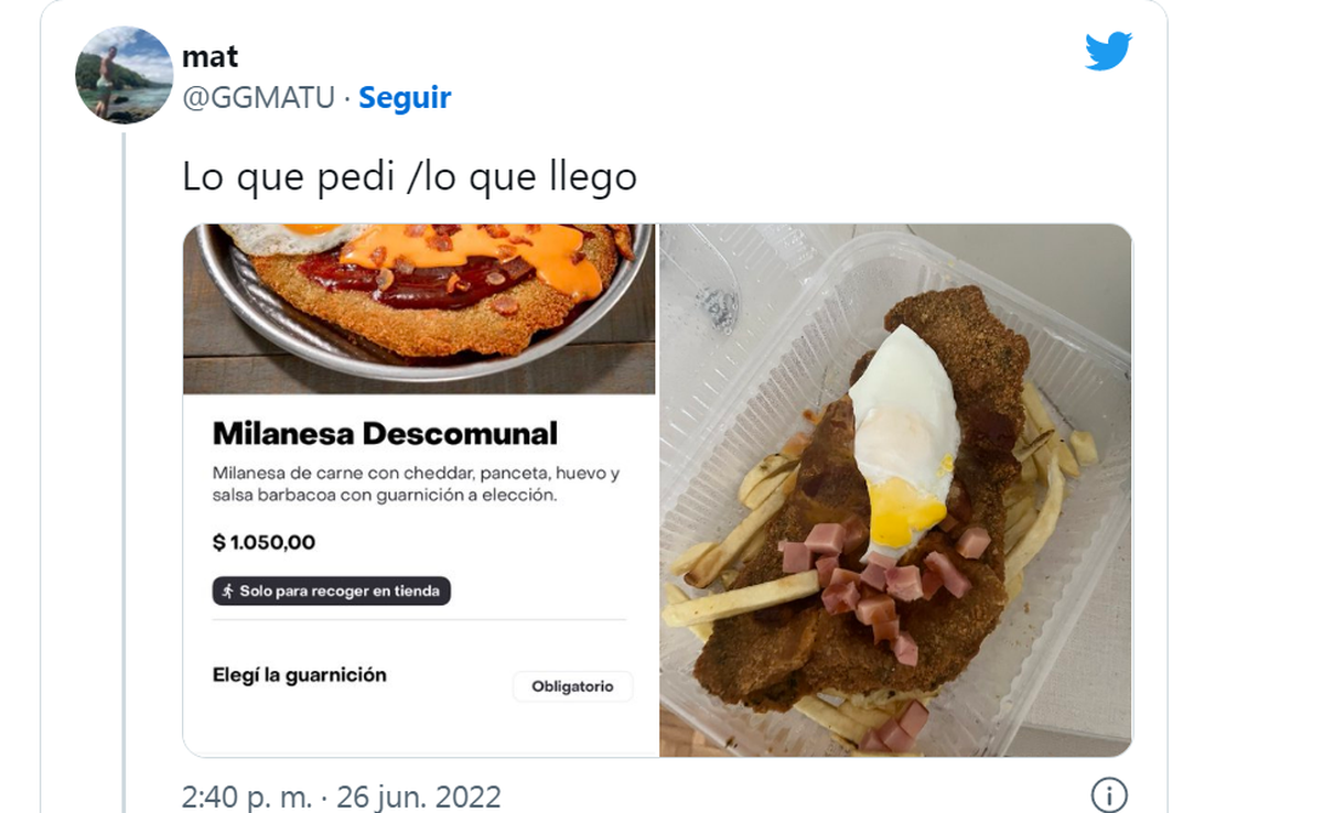 Un fraude. Pidió un milanesa gigante y le llegó algo indignante.