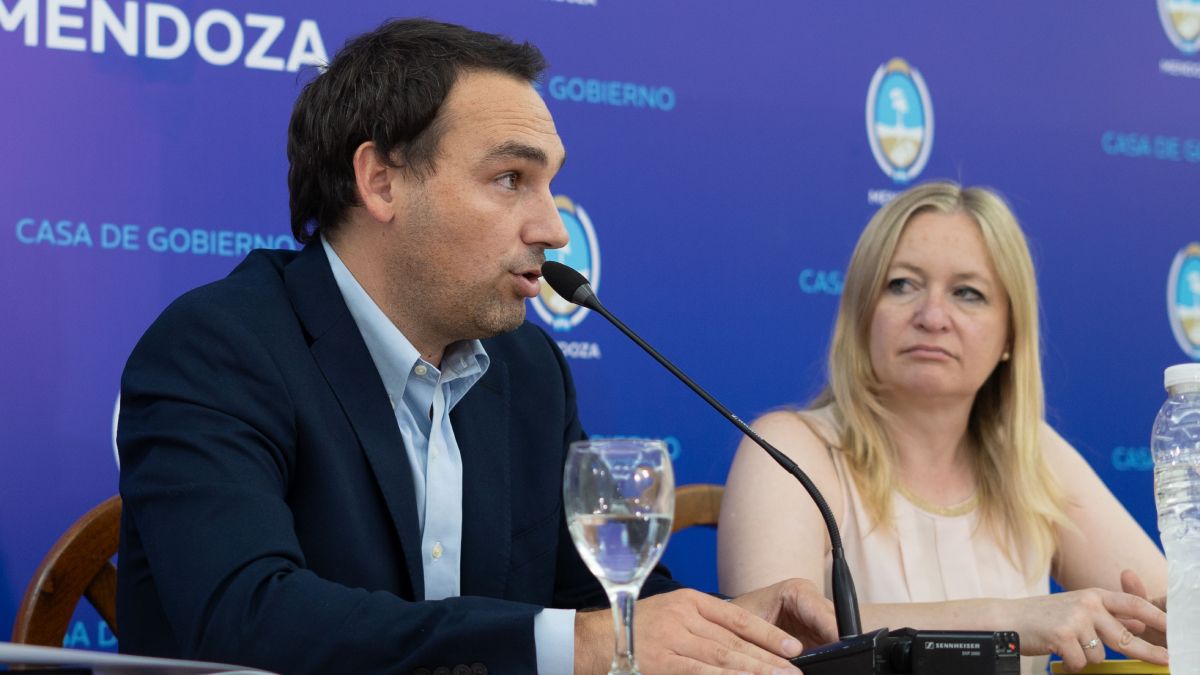 El ministro de Salud, Rodolfo Montero y la vicegobernadora Hebe Casado, dieron detalles de la enorme reforma sanitaria que se compone de 26 leyes.