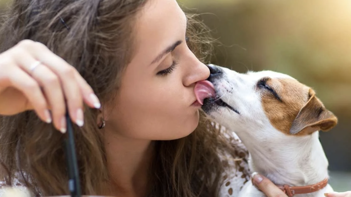 Amor. Muchas personas besan a sus perros pero suele ser peligroso para la salud. 