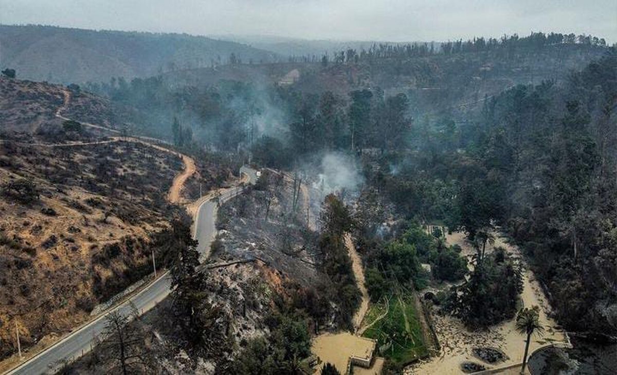 Las imágenes son desoladoras. Las imágenes son desoladoras.