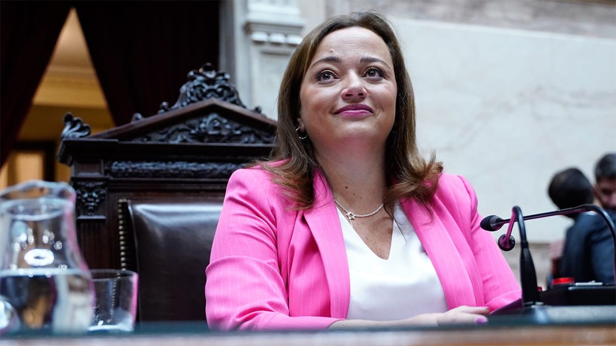 Cecilia Moreau preside Diputados.