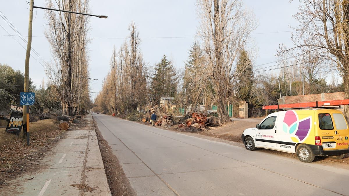 Desde el municipio señalaron que luego de la revisión y tala de 52 árboles que se hizo a comienzos de año, no siguieron chequeando el estado del arbolado público de la calle Guardia Vieja. Fue para frenar la tala, según lo había pedido la agrupación ambientalista.