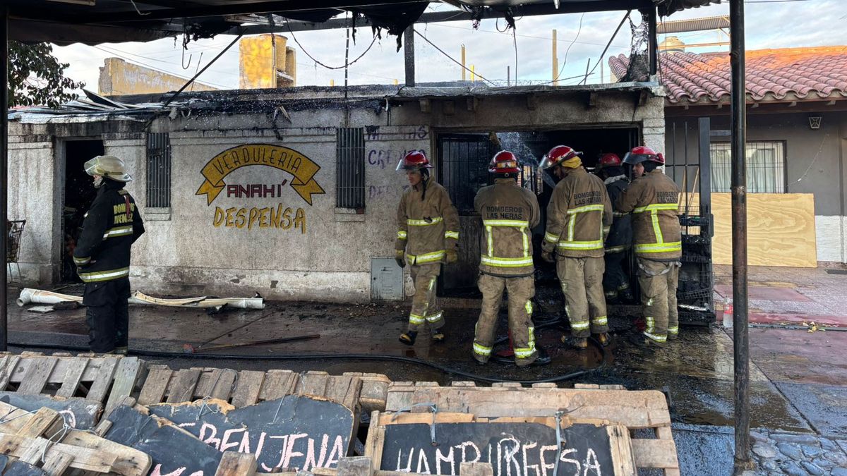 Los Bomberos que trabajaron en el incendio de Las Heras intentaron salvar a un gato al que le hicieron reanimación y le pusieron hasta oxígeno pero no sobrevivió. Los Bomberos que trabajaron en el incendio de Las Heras intentaron salvar a un gato al que le hicieron reanimación y le pusieron hasta oxígeno pero no sobrevivió.