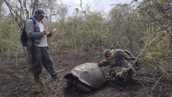 Galápagos, un archipiélago fantasma: la historia de los atrapados en medio del océano Pacífico