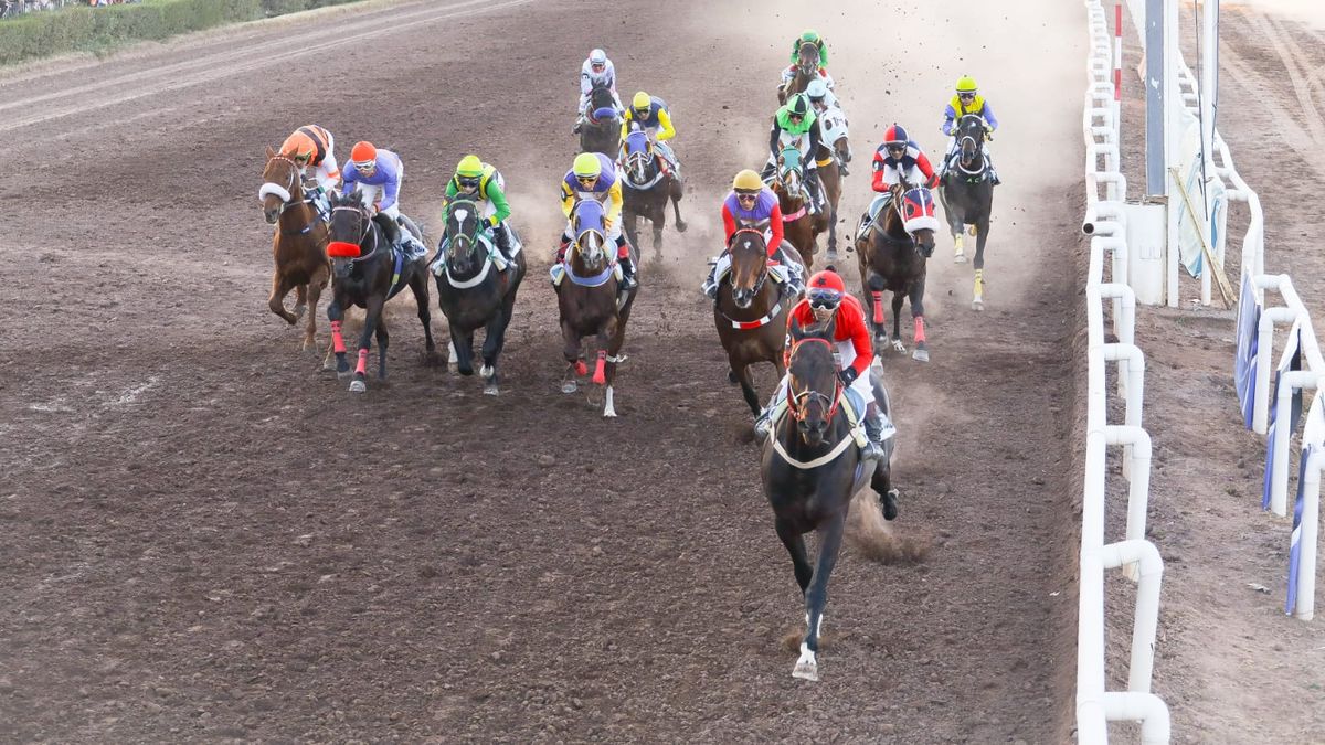 Code Breaker y la costumbre de quedarse en la largada. Aquí se aprecia cuándo el lote de competidores hace la primera pasada por la línea de llegada (la carrera es de 2.200m, y la cuerda de la pista es de 1.900m) y se lo ve al que iba a ganar la carrera, en el último lugar. Code Breaker y la costumbre de quedarse en la largada. Aquí se aprecia cuándo el lote de competidores hace la primera pasada por la línea de llegada (la carrera es de 2.200m, y la cuerda de la pista es de 1.900m) y se lo ve al que iba a ganar la carrera, en el último lugar.