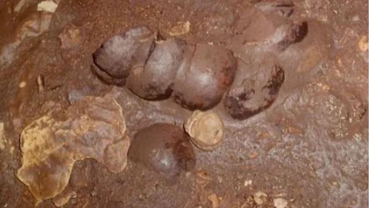 El descubrimiento realmente hiela la sangre. El descubrimiento realmente hiela la sangre.