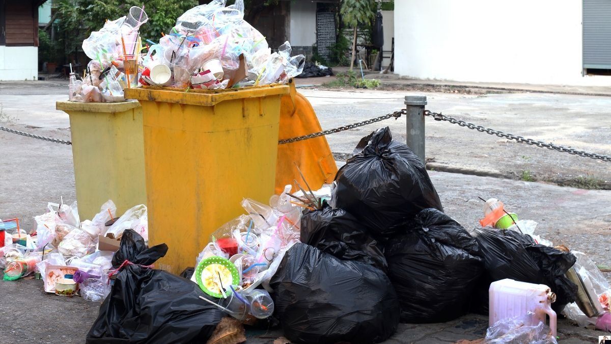 Sacar mal la basura es una grave multa. Fuente: Canva.