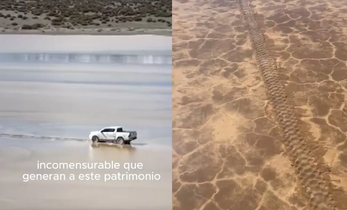 Las huellas dejadas sobre el terreno protegido alcanzaron hasta 25 centímetros de profundidad. Las huellas dejadas sobre el terreno protegido alcanzaron hasta 25 centímetros de profundidad.