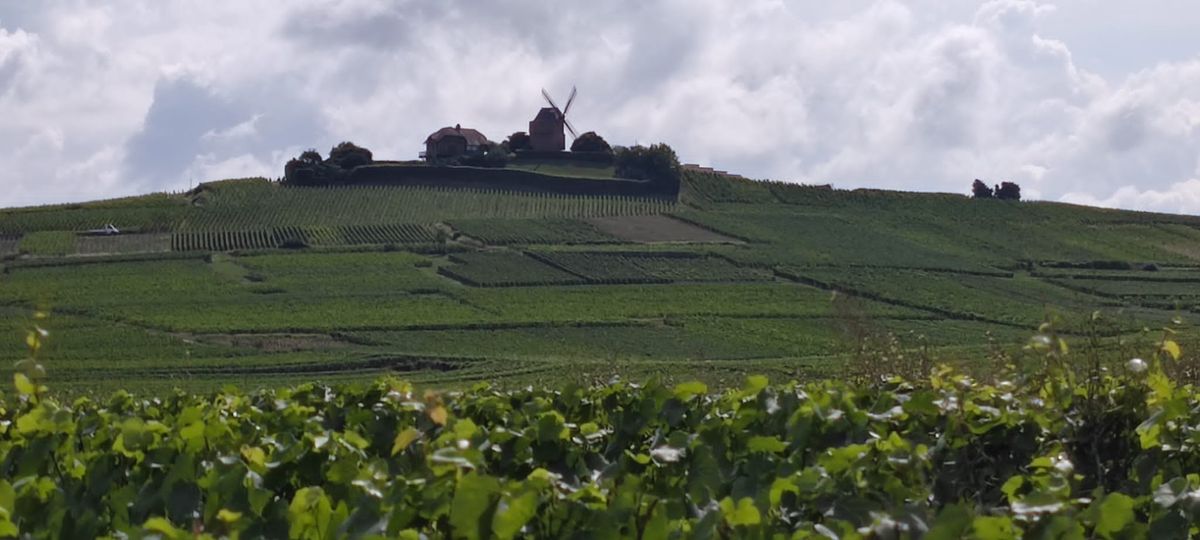 Epernay, donde se encuentra ubicada la bodega en la que se elabora Dom Pérignon. Epernay, donde se encuentra ubicada la bodega en la que se elabora Dom Pérignon.