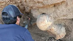 El descubrimiento es un hito en la arqueología local. El descubrimiento es un hito en la arqueología local.