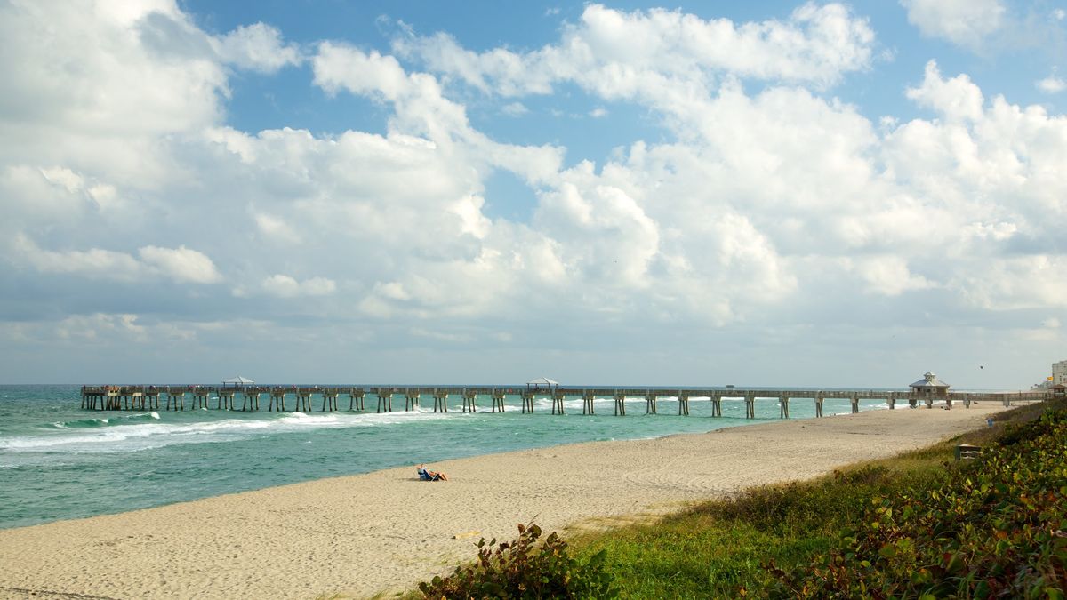 Cerca de Juno Beach se encuentra el famoso muelle de Juno Beach, un paseo marítimo de 300 metros. Cerca de Juno Beach se encuentra el famoso muelle de Juno Beach, un paseo marítimo de 300 metros.