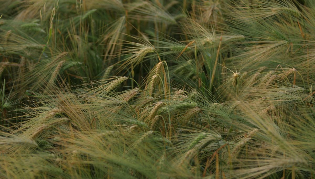 Toma las medidas necesarias para cuidarte Toma las medidas necesarias para cuidarte