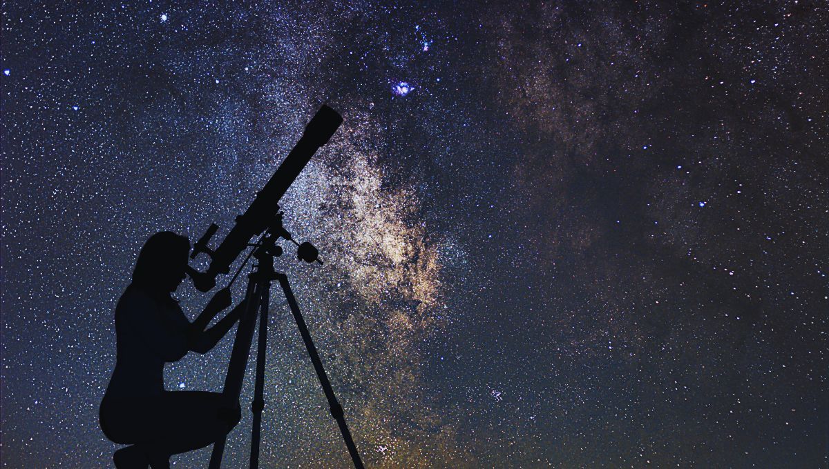 Fuente: CANVA Fuente: CANVA