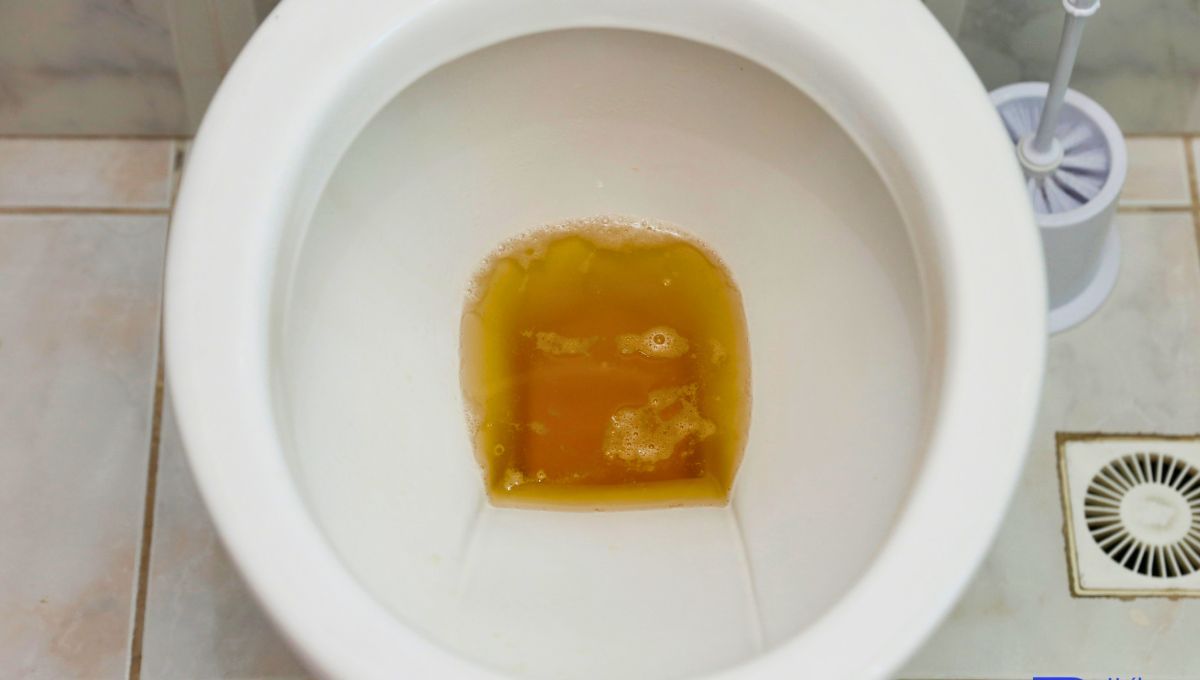 Orinar con espuma: ¿Qué significa y qué problemas de salud podría estar advirtiendo?