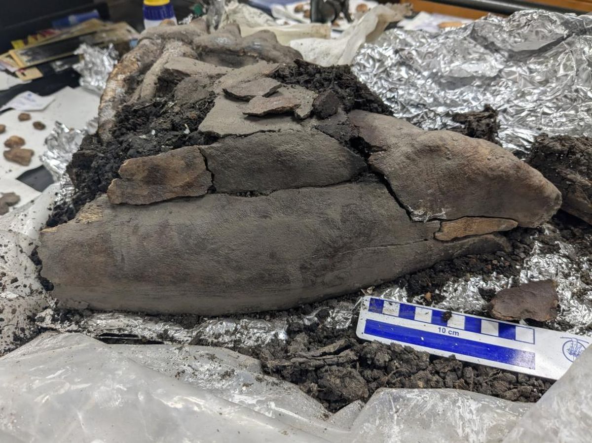 El descubrimiento es el primero de su tipo en 11 años.