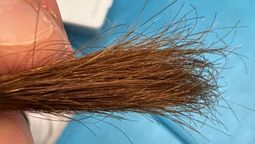 Te explico por qué las puntas del pelo se abren y rompen.