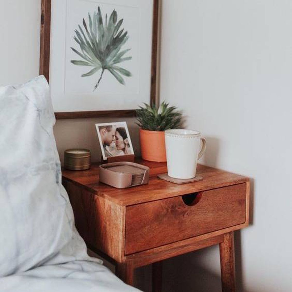 Las suculentas es una de las 7 plantas ideales para la mesa de luz y dormir bien Las suculentas es una de las 7 plantas ideales para la mesa de luz y dormir bien