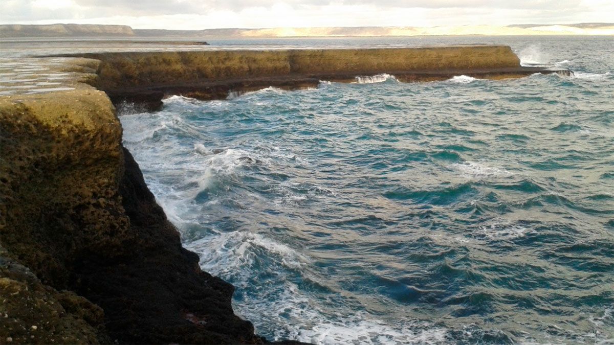 Como todos los años, este martes 18 de julio se celebra Día Mundial de la Escucha.