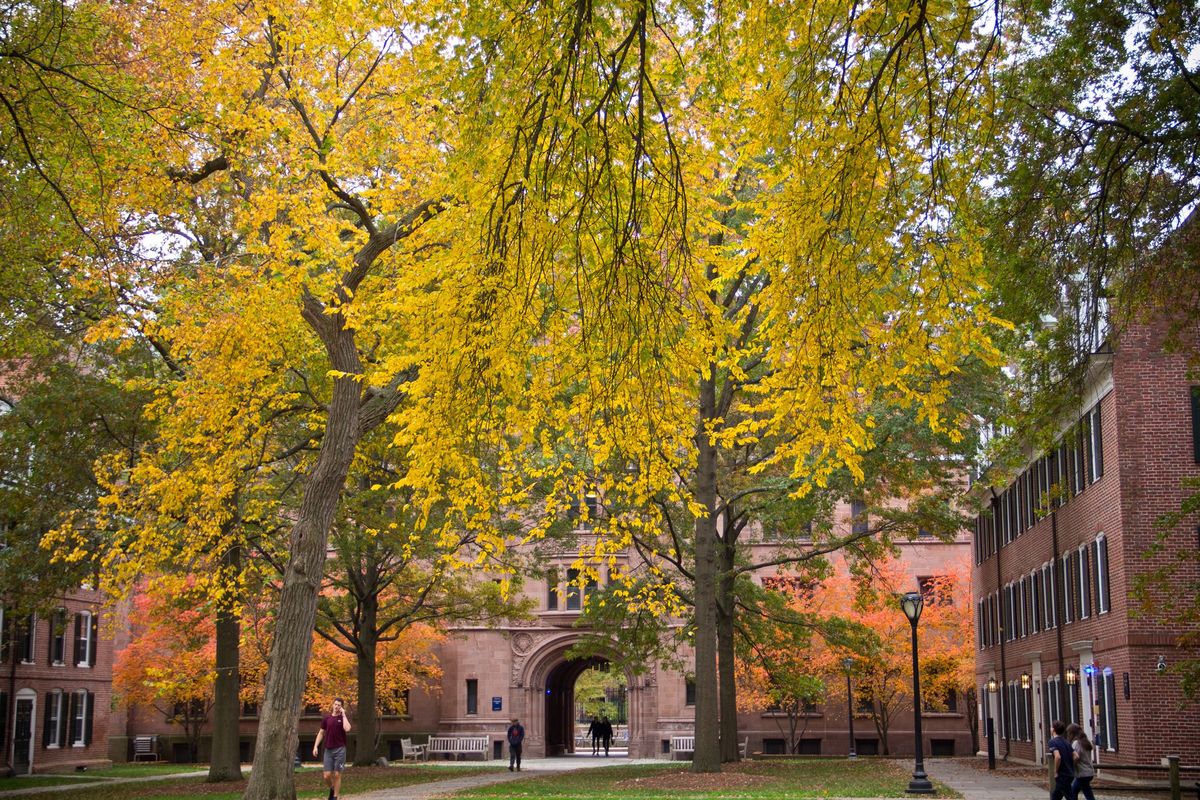 Visita New Haven en otoño. Imagen de Pixabay. Visita New Haven en otoño. Imagen de Pixabay.