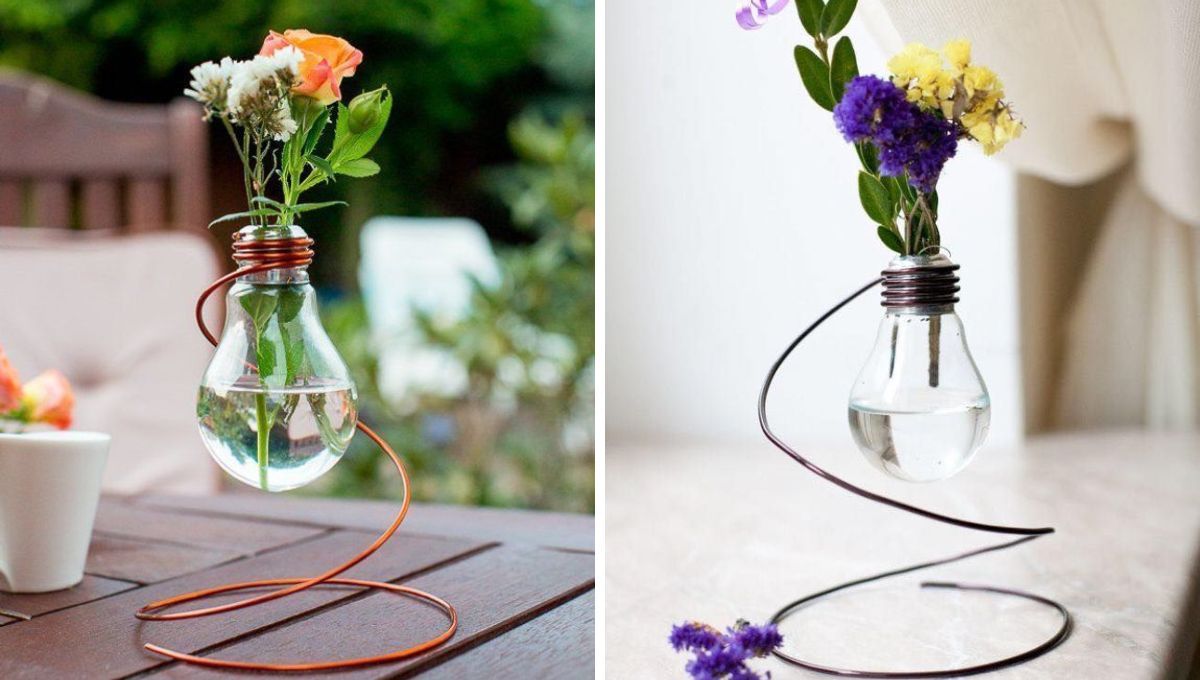 Reciclar focos. Reciclar focos.