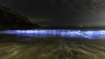 No lo imaginabas: el país con la playa con olas bioluminiscentes que crea un espectáculo mágico