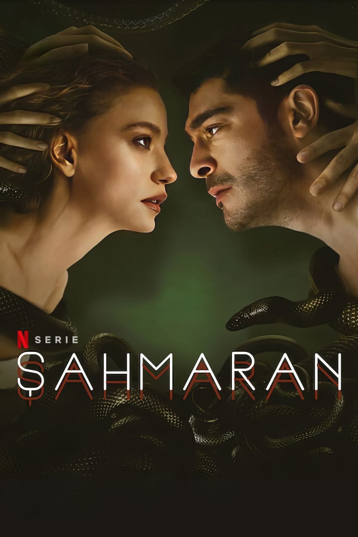 Gran serie de Netflix. Es Sahmaran, la serie turca que impacta en todo el mundo. Gran serie de Netflix. Es Sahmaran, la serie turca que impacta en todo el mundo.